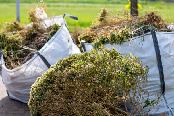 Best Same-Day Junk Removal  in Cannon Falls, MN