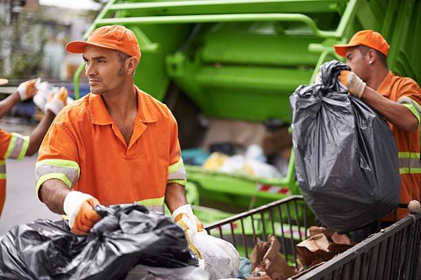 Best Electronics Removal Services  in Cannon Falls, MN